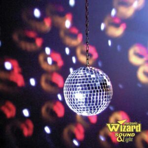 Disko Kugla 20cm (2)