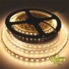 Toplo Bela (ww) Led Traka 3528smd 120ledsm (1)